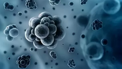 Routine Testing at a California Dairy Has Led to the Recall of Raw Milk After the Detection of the Bird Flu Virus